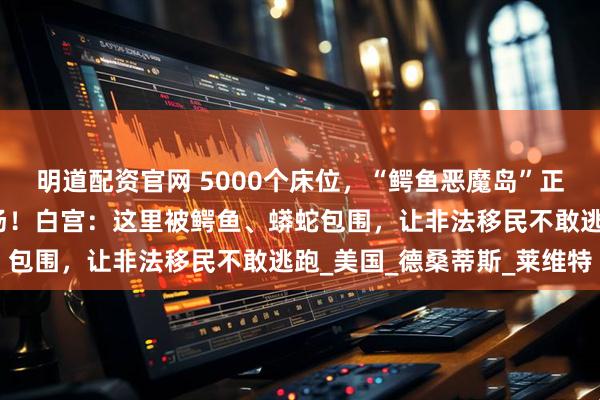 明道配资官网 5000个床位，“鳄鱼恶魔岛”正式启用，特朗普亲临现场！白宫：这里被鳄鱼、蟒蛇包围，让非法移民不敢逃跑_美国_德桑蒂斯_莱维特