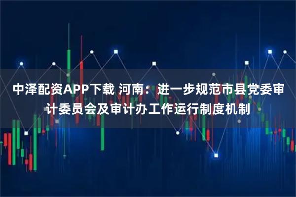 中泽配资APP下载 河南：进一步规范市县党委审计委员会及审计办工作运行制度机制
